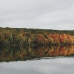 River through a Connecticut forest, representative of Postcard Cabins Machimoodus
