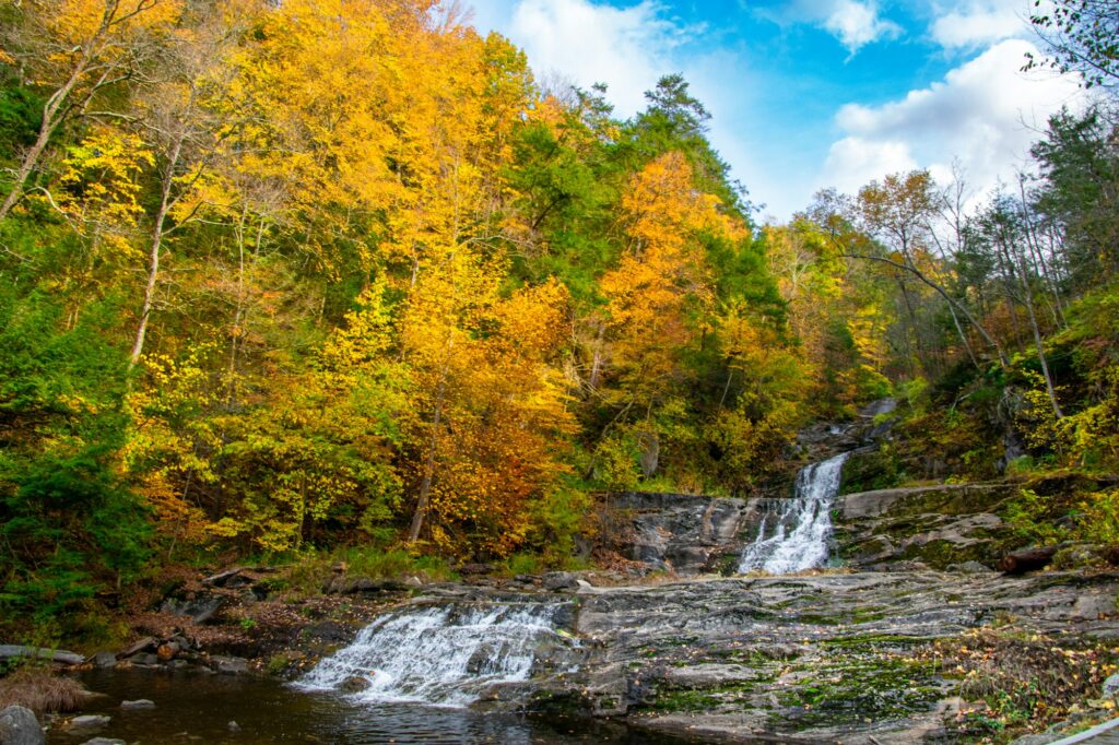 Grandview Camping & Cottages