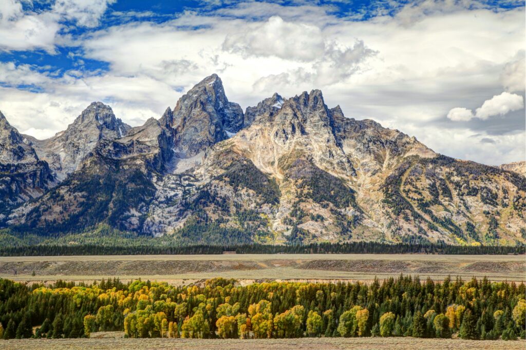 Campsite Spotlight: Campspot, the Booking Platform Behind Thousands of Campgrounds