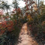 Wooded trail at Red River Gorge, Kentucky, representative of Dappled Light Retreat Center