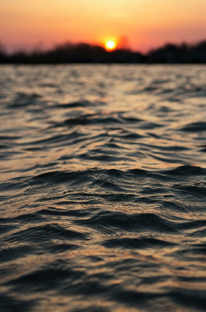 Pink and orange sunset reflecting on water near trees in Michigan