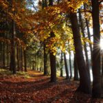 Camping trip in September with cooler weather and fewer crowds