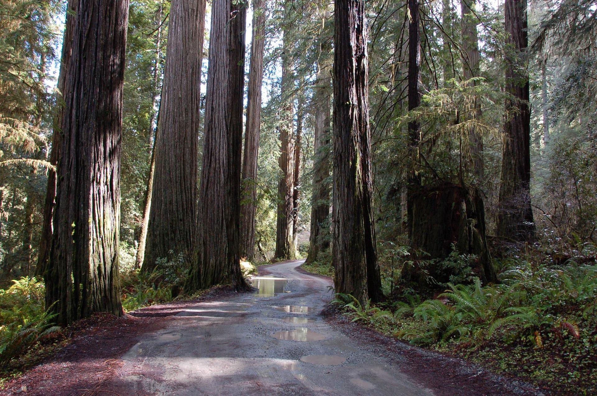 The 6 Best Glamping Stays in California