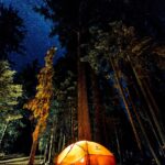 camping-dark-forest-pixabay