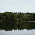 dense-forest-lake-reflection-unsplash
