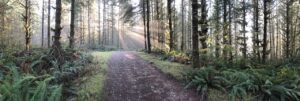 Pinckney State Recreation Area