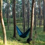 hammock-forest-poland-unsplash