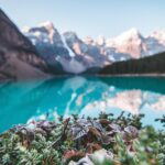 lake-mountains-forest-pixabay2