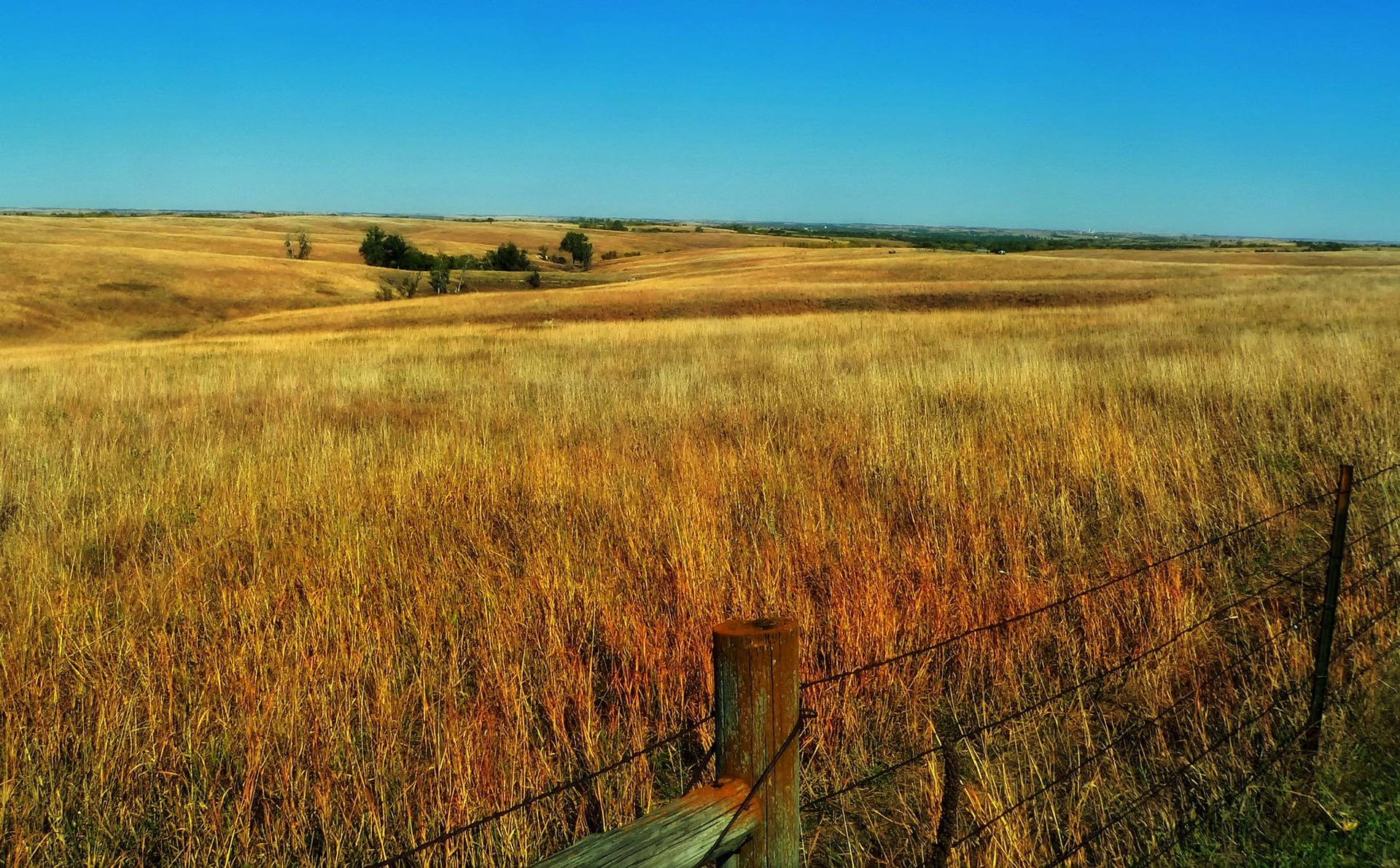 The 8 Best Glamping Stays in Iowa, Nebraska & South Dakota