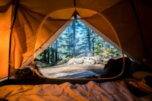 Mount Charleston Cabins