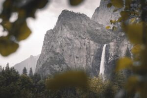 Iris Hill Glamping