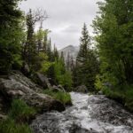 Rocky Mountain National Park pine forest and river