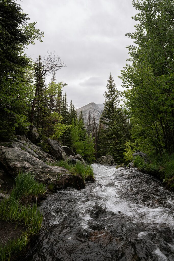 Highwood Retreat