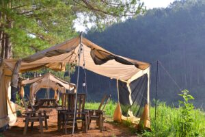 Point of View Lake Resort & Glamping