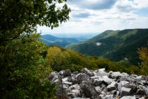 Blue River Bells LLC
