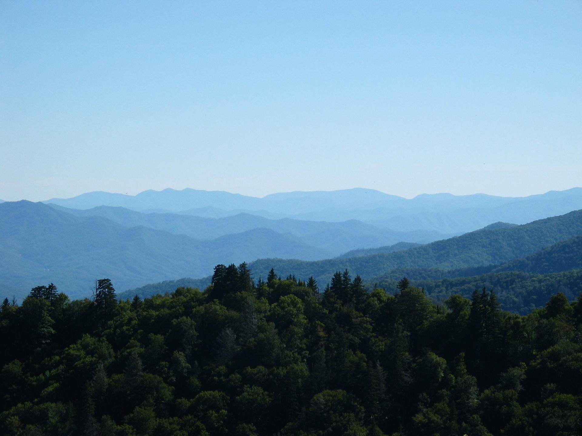 The 6 Best Glamping & Campgrounds in the Smoky Mountains, Tennessee