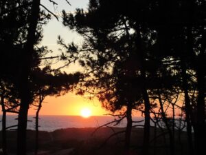 Myrtle Beach State Park