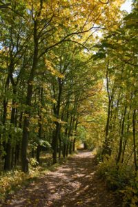 Whispering Pines Campground