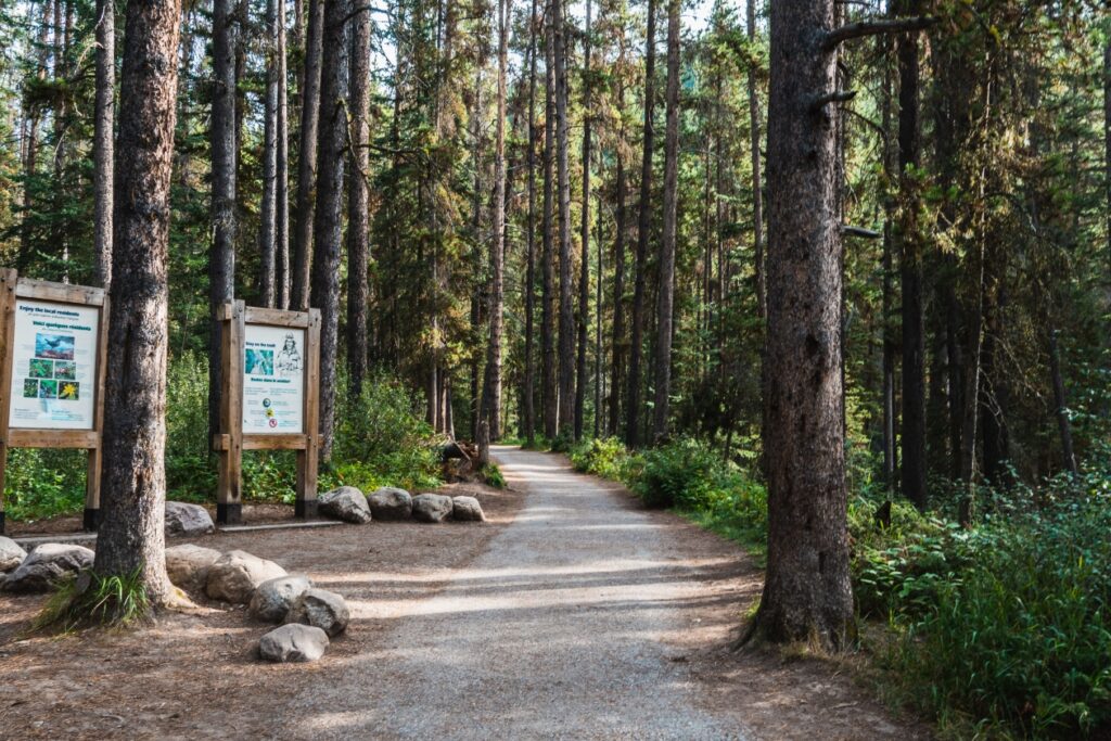 Mark Your Calendar: The Next Free National Park Day Is Coming Up
