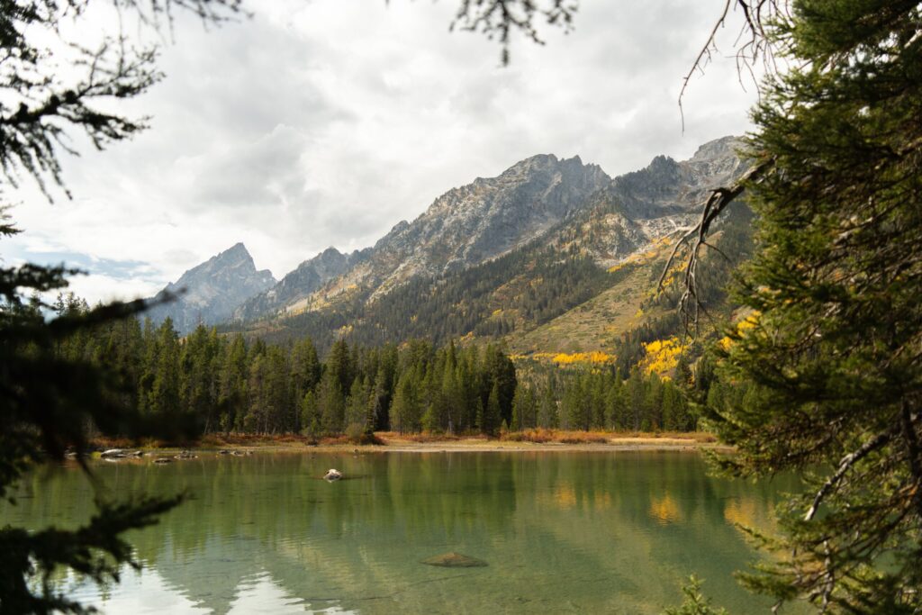 Why Wyoming Is Having a Camping Moment in 2026