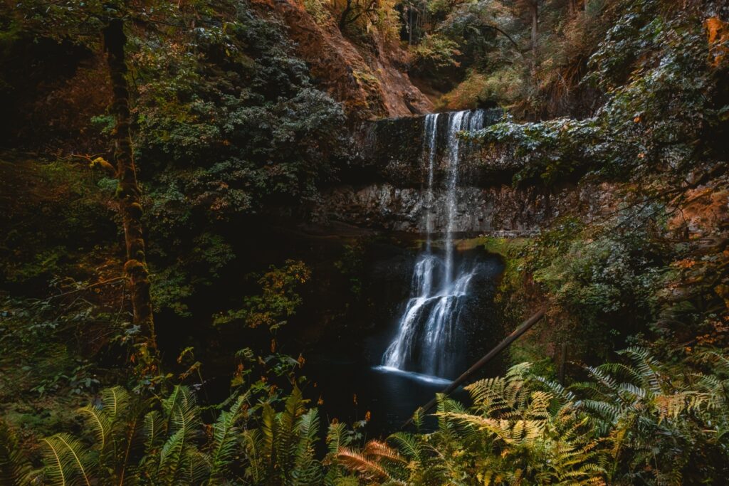 Silver Falls State Park: Oregon’s Waterfall-Packed Crown Jewel