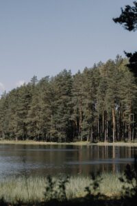 Timber Ridge RV & Recreation Resort