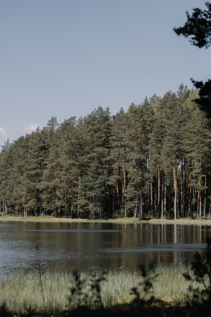 Timber Ridge RV & Recreation Resort