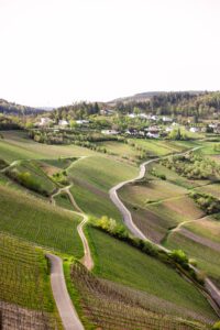 Wildhaven Sonoma Glamping