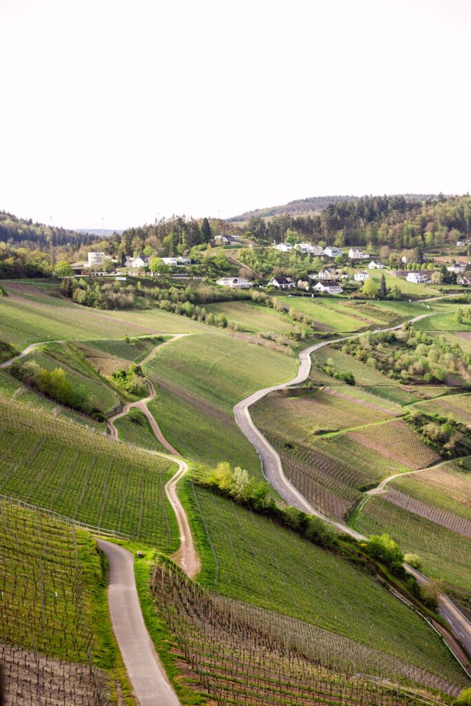 Wildhaven Sonoma Glamping