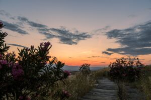 Timberline Glamping at Huntsville