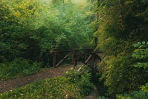 Desert of Maine - Cabins & Glamping