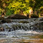 pexels-karlheinz-strohmaier-2153257497-38522063