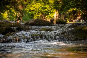 Lumen Nature Retreat