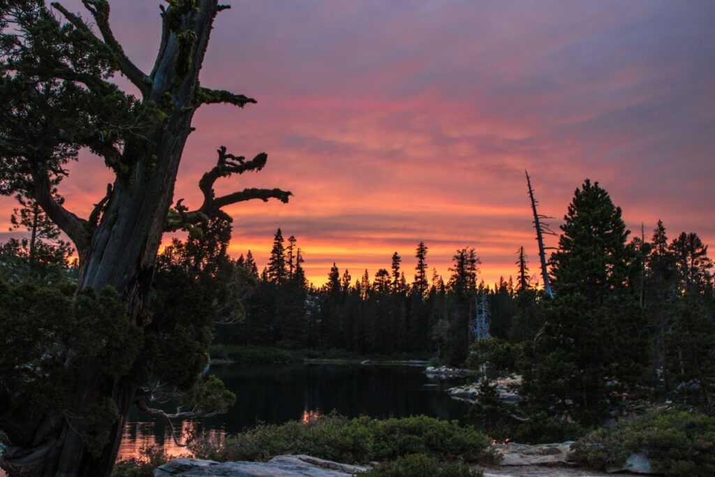 Leelanau Pines Campground