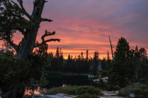 Leelanau Pines Campground